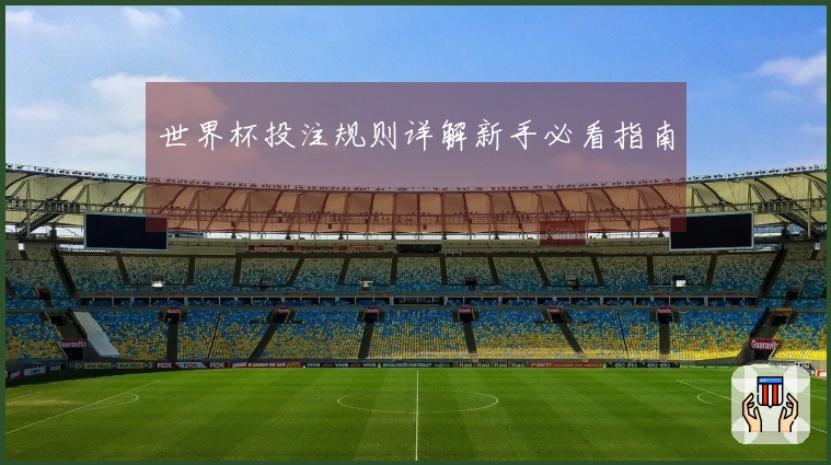 世界杯投注规则详解新手必看指南