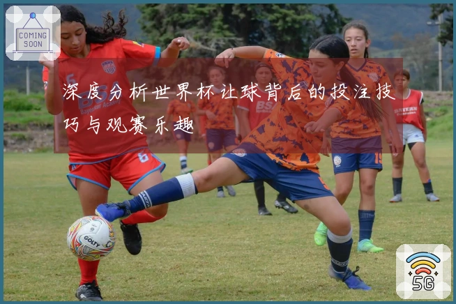 深度分析世界杯让球背后的投注技巧与观赛乐趣