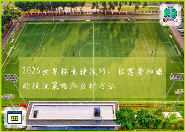 2026世界杯竞猜技巧，你需要知道的投注策略和分析方法