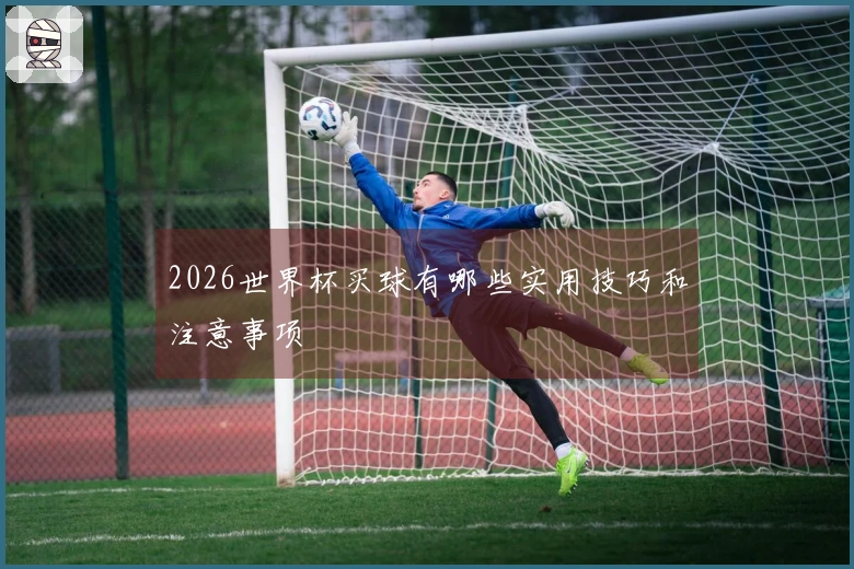 2026世界杯买球有哪些实用技巧和注意事项